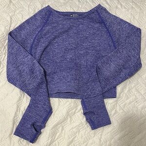 Purple Long Sleeve Cropped Top